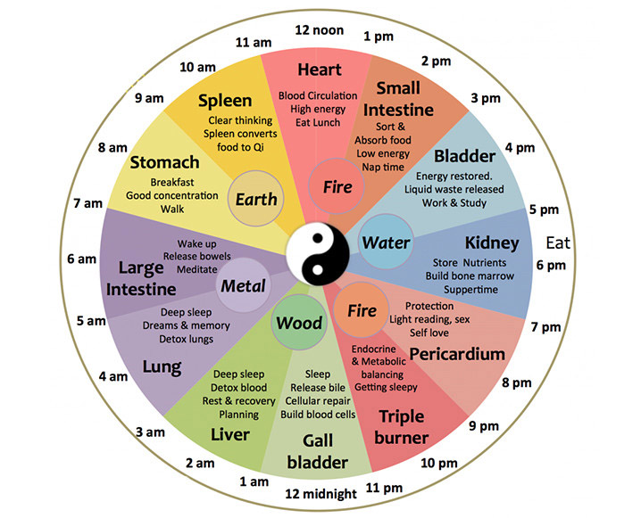 chinese-body-clock